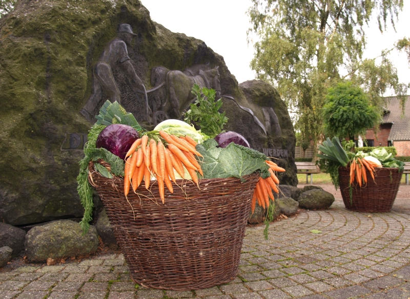 Erntedank - Imagebild